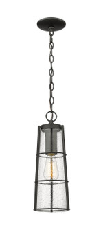 Exterior Hanging by Z-Lite ( 224 | 591CHB-BK Helix ) 