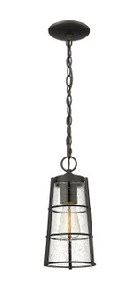 Exterior Hanging by Z-Lite ( 224 | 591CHM-BK Helix ) 
