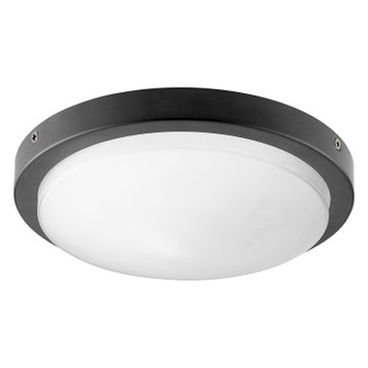 Fans Light Kits by Quorum ( 19 | 8-208-59 Titus ) 