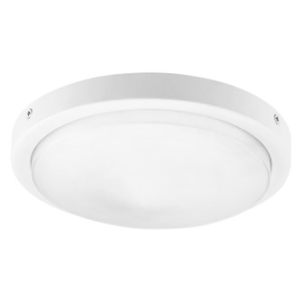 Fans Light Kits by Quorum ( 19 | 8-208-8 Titus ) 