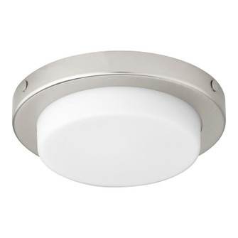 Fans Light Kits by Quorum ( 19 | 8-356-65 Trio ) 