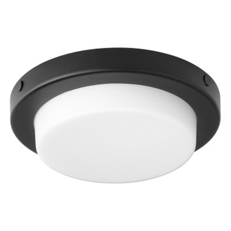 Fans Light Kits by Quorum ( 19 | 8-356-69 Trio ) 
