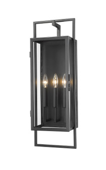 Exterior Wall Mt./Flush by Z-Lite ( 224 | 598B-BK Lucian ) 