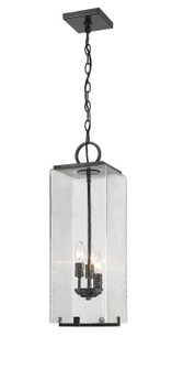 Exterior Hanging by Z-Lite ( 224 | 592CHB-BK Sana ) 