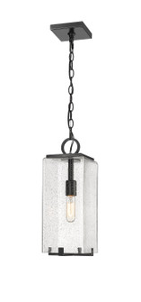 Exterior Hanging by Z-Lite ( 224 | 592CHM-BK Sana ) 