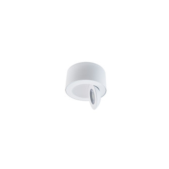 Exterior Ceiling Mount by W.A.C. Lighting ( 34 | FM-W45205-30-WT Peek ) 