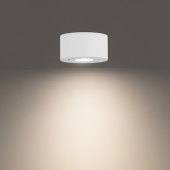 Exterior Ceiling Mount by W.A.C. Lighting ( 34 | FM-W45205-35-WT Peek ) 