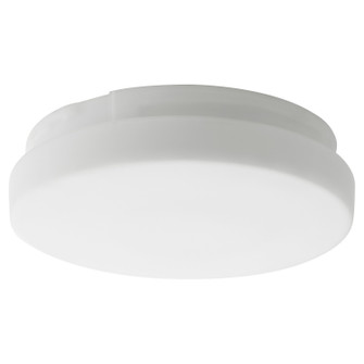 Fans Light Kits by Quorum ( 19 | 8-21653 Reni ) 