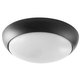 Fans Light Kits by Quorum ( 19 | 8-41655-59 Fury ) 