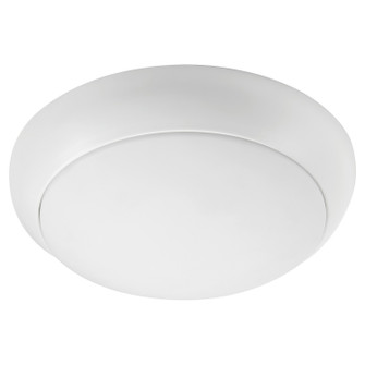 Fans Light Kits by Quorum ( 19 | 8-41655-8 Fury ) 