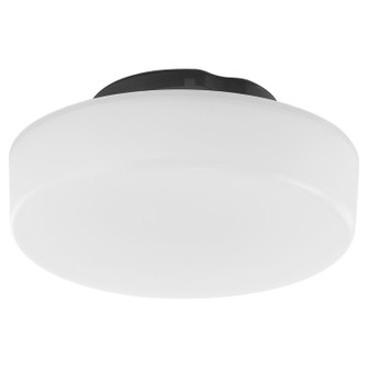 Fans Light Kits by Oxygen ( 440 | 3-9-116 Samaran ) 