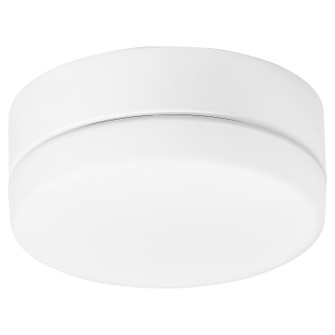 Fans Light Kits by Oxygen ( 440 | 3-9-119-6 Allegro ) 