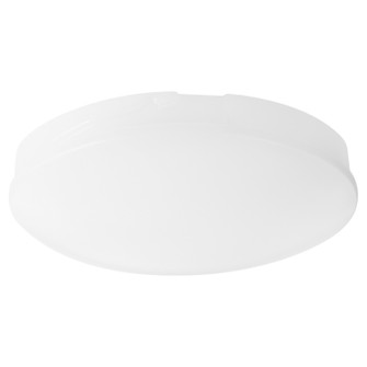 Fans Light Kits by Oxygen ( 440 | 3-9-123 Ridley ) 