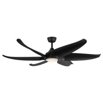 Fans Damp Location by Kuzco Lighting ( 347 | CF90960-MB Coronado ) 