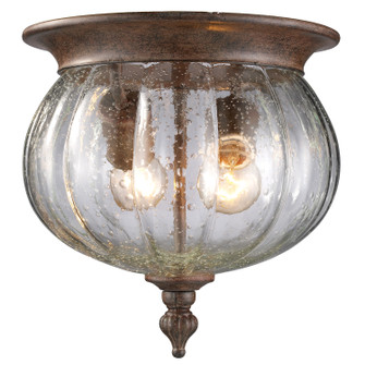 Exterior Ceiling Mount by Z-Lite ( 224 | 516F-WB Belmont ) 