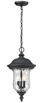 Exterior Hanging by Z-Lite ( 224 | 533CHB-BK Armstrong ) 