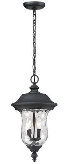 Exterior Hanging by Z-Lite ( 224 | 533CHM-BK Armstrong ) 