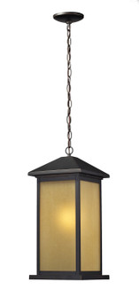 Exterior Hanging by Z-Lite ( 224 | 548CHB-ORB Vienna ) 