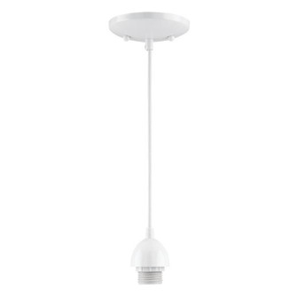 Utility Incomplete by Westinghouse Lighting ( 88 | 7028600 Mini Pendant ) 