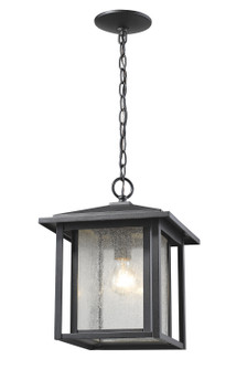 Exterior Hanging by Z-Lite ( 224 | 554CHB-BK Aspen ) 
