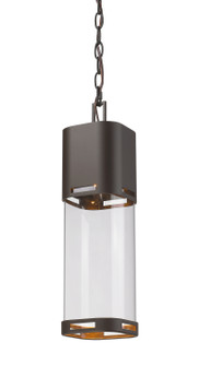 Exterior Hanging by Z-Lite ( 224 | 562CHB-DBZ-LED Lestat ) 