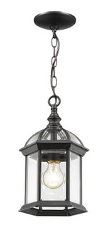 Exterior Hanging by Z-Lite ( 224 | 563CHM-BK Annex ) 