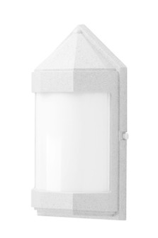 Exterior Wall Mt./Flush by Wave Lighting ( 301 | S32WL-LR12W-WH Everstone LED ) 