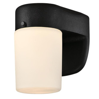 Utility Outdoor by Westinghouse Lighting ( 88 | 6106700 ) 