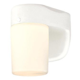 Utility Outdoor by Westinghouse Lighting ( 88 | 6106800 ) 