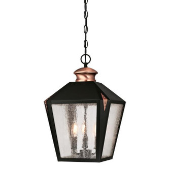 Exterior Hanging by Westinghouse Lighting ( 88 | 6339100 Valley Forge ) 