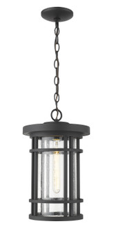 Exterior Hanging by Z-Lite ( 224 | 570CHB-BK Jordan ) 