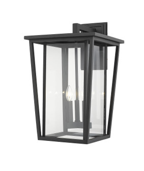 Exterior Wall Mount by Z-Lite ( 224 | 571XL-BK Seoul ) 