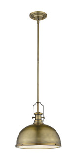 Pendants Metal Shade by Z-Lite ( 224 | 725P12-HBR Melange ) 